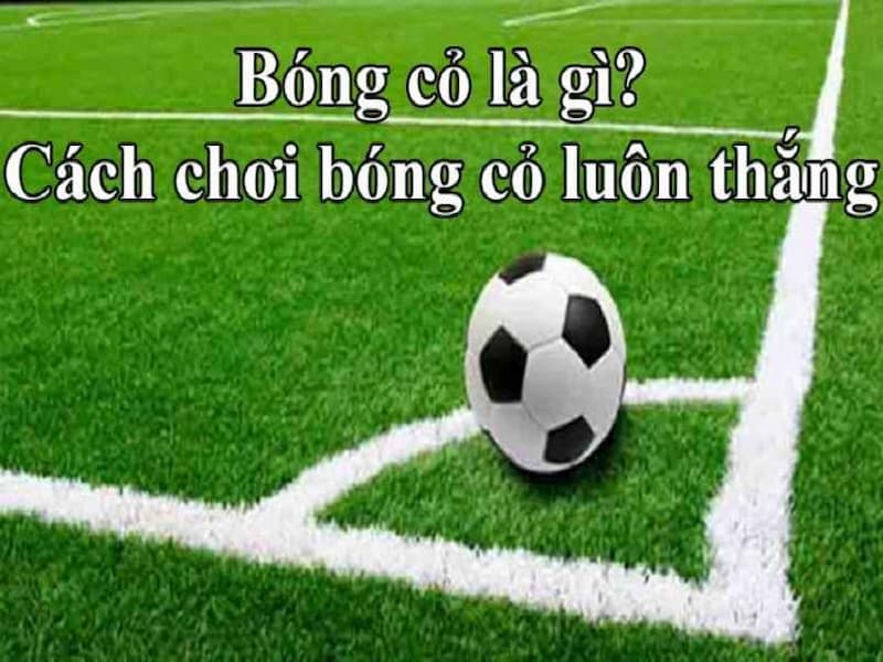 Kèo bóng cỏ Kèo bóng cỏ