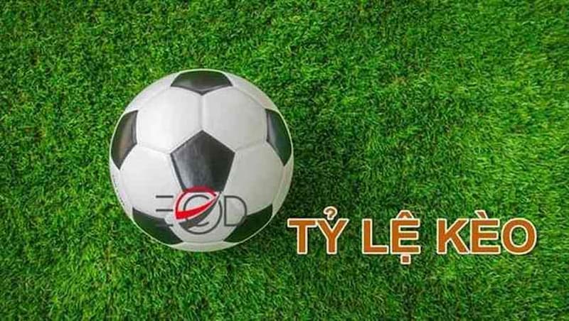 Kèo bóng cỏ Kèo bóng cỏ