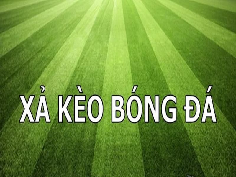 Cách Xả Kèo Bóng Đá như thế nào? Hướng dẫn chi tiết cho người mới 5 keo bong da 1