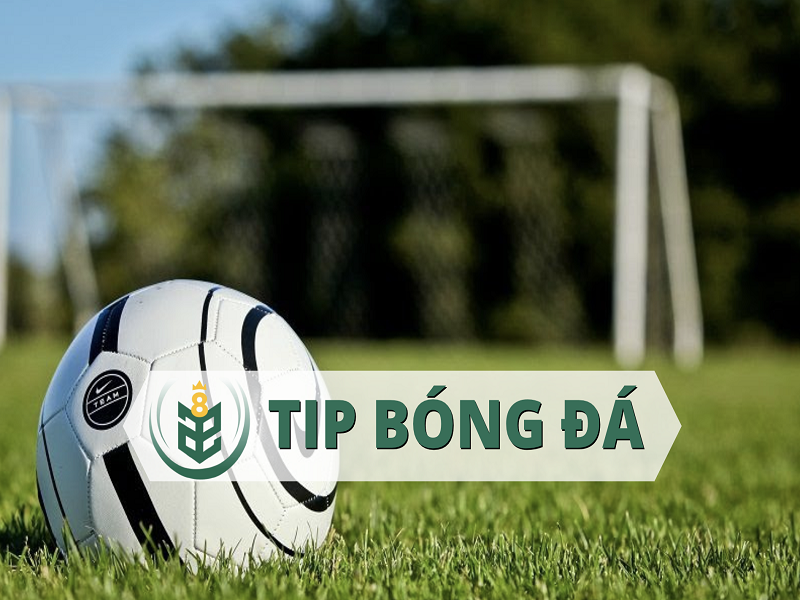 tips bong da