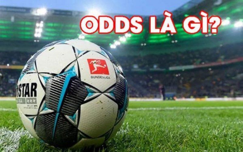 ty le odds 1