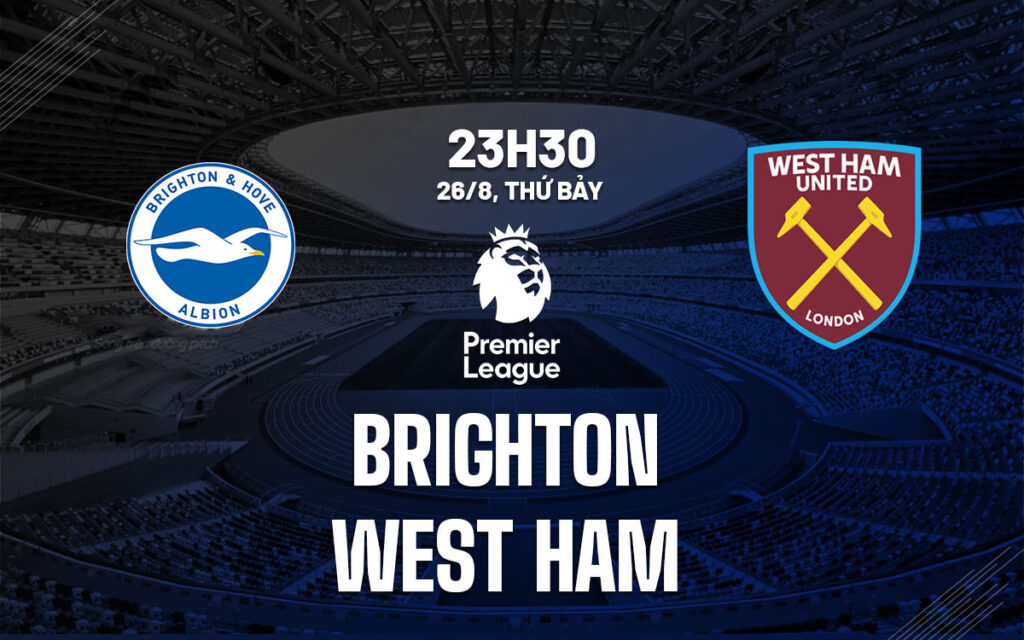 Nhận định Brighton vs West Ham - Mòng biển bay cao 6 Nhận định trận đấu Brighton vs West Ham